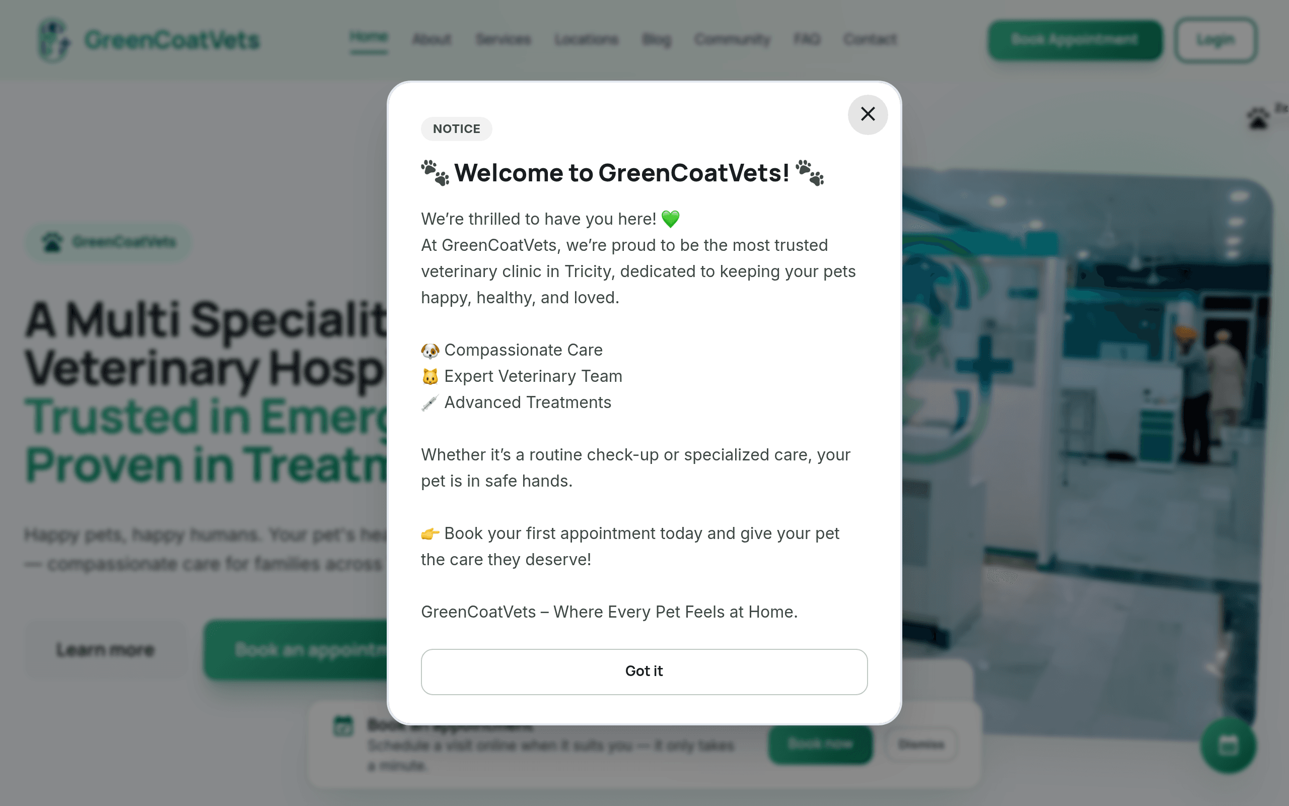 Green Coat Vets website preview
